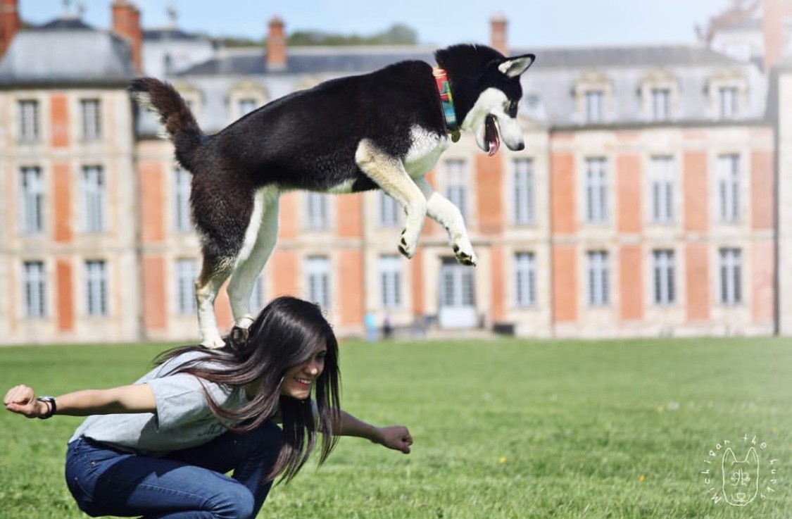 Le dogdancing avec son husky ? OUI c'est possible 1001